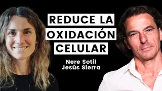 Reducir la oxidación celular: mejores estrategias // Nere Sotil