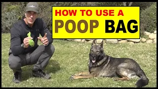 How to Use a Poop Bag - Funny Dog Training Video