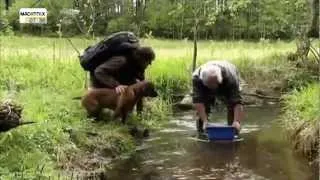 Youtube Kacke - Andreas Kieling - Auf der Fährte der Bache