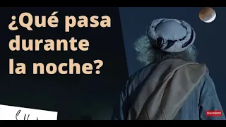 ¿Qué sucede si te quedas despierto hasta tarde en la noche  | Mistico Espanol |  Sadhguru