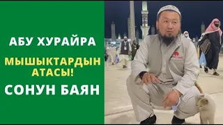 Абу Хурайра | Мышыктардын Атасы! | сонун баян | устаз Бактияр ажы Шарапов