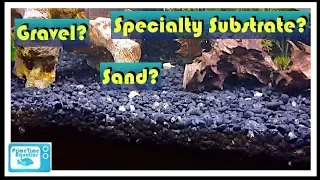 Which Substrate is Right for Your Aquarium??