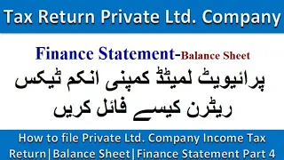 How to file Private Ltd. Company Income Tax Return|Profit & Loss Statement |Finance Statement Part 4