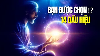 Người Được Chọn‼️Bạn Không Giống Những Người Còn Lại - 14 Dấu Hiệu Kỳ Lạ Cho Thấy Bạn Khác Biệt