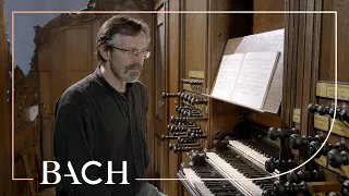 Smits on Bach Concerto in A minor BWV 593 | Netherlands Bach Society