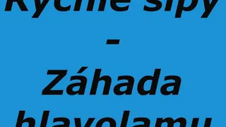 2 Rychlé šípy - Záhada hlavolamu - Deník Jana Tleskače