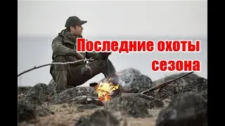 Последние охоты сезона