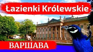 ПАРК ЛАЗЕНКИ, ВАРШАВА: Королевский дворец, красивые места Варшавы | Польша