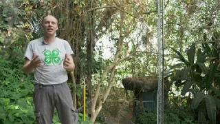 Dr. Joost VanHaren- Understanding Tree Resiliency using the Biosphere 2 Rain Forest