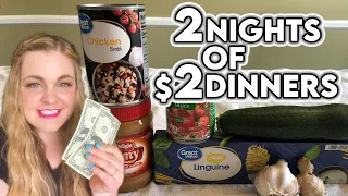 Extreme Grocery Budget Challenge | 2 Nights of $2 Dinners | $4 Total Spent for 2 Adults & 1 Toddler