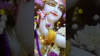 Krushna Nama Japuthare Dhana Krushna || Sri Krishna Bhajan ||#shorts