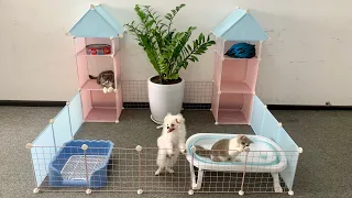 DIY Garden Twin Towers for Pomeranian Poodle & Bibi Kitten - How to make dog house fun video mr pet