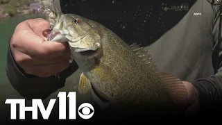 What to know about free fishing weekend in Arkansas | Outdoor Report