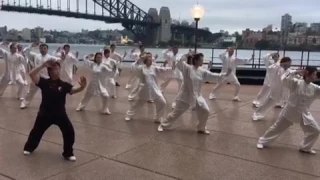 Yang Style Taichi in front of Sydney Harbour Bridge