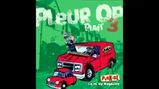 Pleur Op! Plaat #3 (various artists 2005 punk compilation)