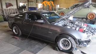 Twin Turbo 5.0 Mustang! The Start to some Coyote fun!