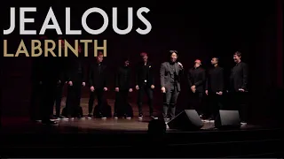 Jealous by Labrinth - Melodores A Cappella LIVE