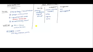 Abnormal Uterine Bleeding for USMLE