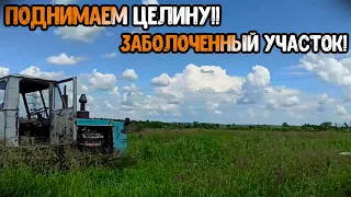 Поднимаем ЦЕЛИНУ! Начало разработки моего основного участка!