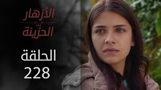 مسلسل الأزهار الحزينة | الحلقة 228 - الموسم الثاني