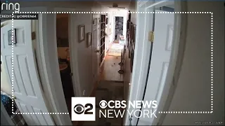 Latest from earthquake's epicenter in New Jersey, NYC residents react and more
