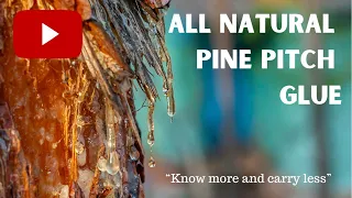 All Natural Pine Pitch Glue