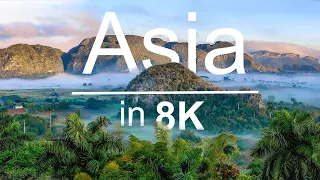 Asia | Raw Beauty - 8K HDR UltraHD (120 FPS)