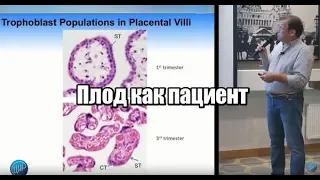 «Современные подходы к антенатальному наблюдению. Плод как пациент. «Placenta clinic» // Гузов И.И.