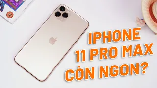 TƯ VẤN MUA IPHONE 11 PRO MAX CUỐI NĂM 2023 - ƯU NHƯỢC ĐIỂM GÌ, LƯU Ý GÌ TRƯỚC KHI MUA!