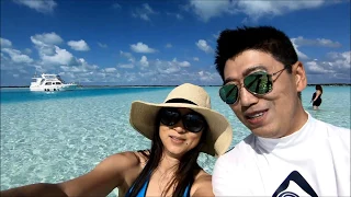 Swimming with the pigs and the nursing sharks, Exuma full day tour, 小猪岛，跟鲨鱼游泳， 酷酷一家