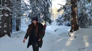 A snowy walk in the Vitosha Mountain/ How to go by bus from the city of Sofia