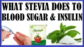 What Stevia Does To Your Blood Sugar & Insulin