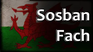 Welsh Folk Song - Sosban Fach