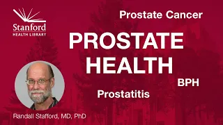 Prostate Health: Prostate Cancer, Prostatitis, and Benign Prostatic Hyperplasia