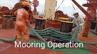 mooring operation docking procedure