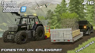 Buying FOREST TRACTOR and planting TREES | Forestry on ERLENGRAT | Farming Simulator 22 | Episode 16