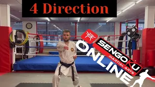 Sengoku Martial Arts - 4 Direction Kata