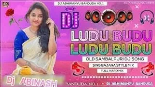 Hey Ludu BuduHey Ludu budu_sambhalpuri Romantic_Oriya Hits dj song #trending #viral #romantic #song