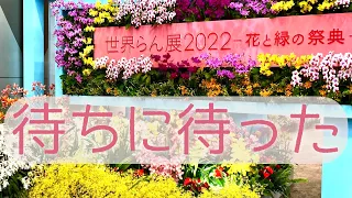 ワクワクが止まらない！世界らん展2022 Japan Grand Prix International Orchid Festiva