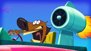 Zig & Sharko 🔥 TURBO ZIG 🔥 (S02E13) Full Episodes in HD