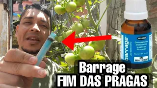 Barrage nas plantas | Mata ácaro, pulgão, cochonilha, formiga, cupins ,baratas, mosca branca