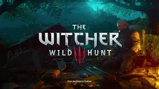 The Witcher 3: Wild Hunt (Xbox Series S) - Gameplay - Recorded With Elgato HD60 S+