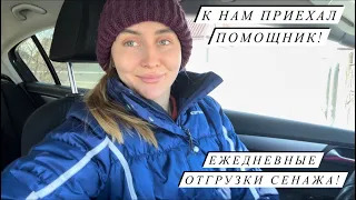 Сезон инкубации 2024 открыт! Купила новый инкубатор! Наша жизнь в деревне!