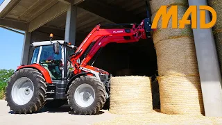 Massey Ferguson MF 5S.145: il tuttofare delle aziende agricole miste