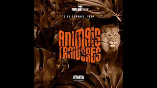 Tz da Coronel feat Vega - Animais Traidores