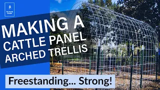 How to Build a Strong Cattle Panel Arch Trellis!