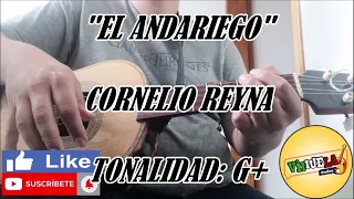 El Andariego - Cornelio Reyna - Cover Vihuela