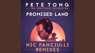 Promised Land (Nic Fanciulli Dub Remix)