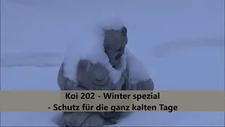 Koi 2021-1 -  Winter spezial - Schutz für die ganz kalten Tage (ohne Worte)