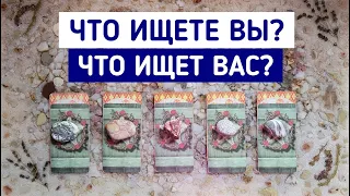 Что ищете Вы? Что ищет Вас? | Таро терапия | Белое гадание